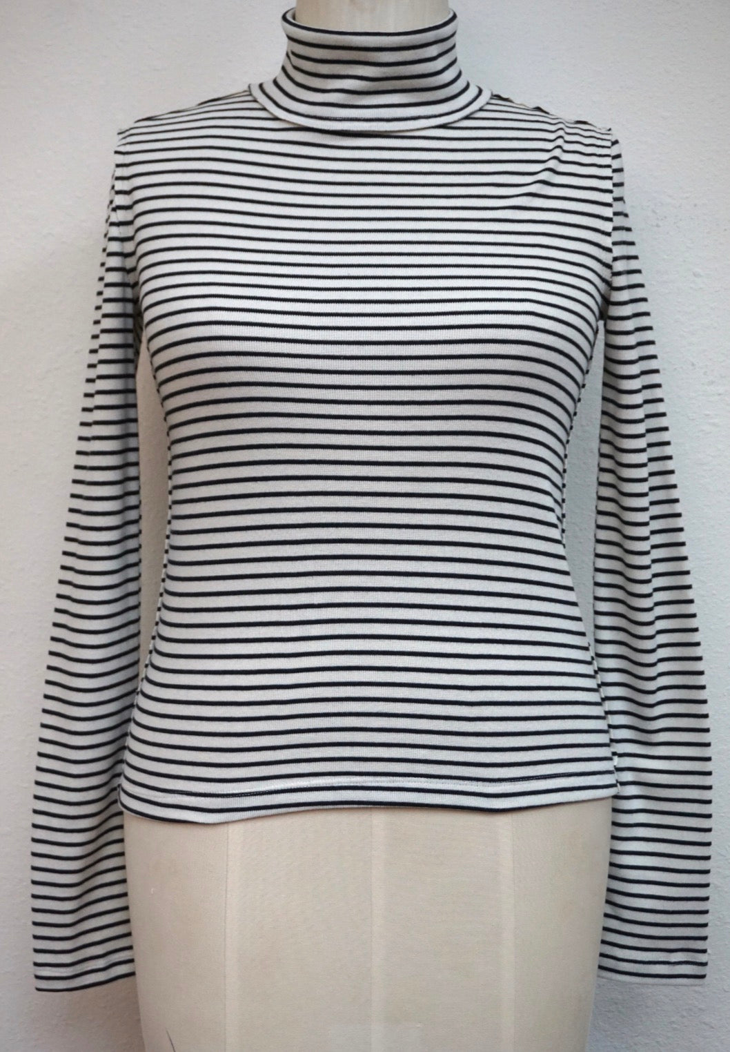 Stripe Turtleneck