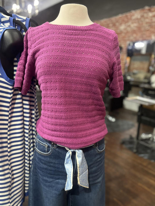 Crewneck Shortsleeve Pointelle Sweater