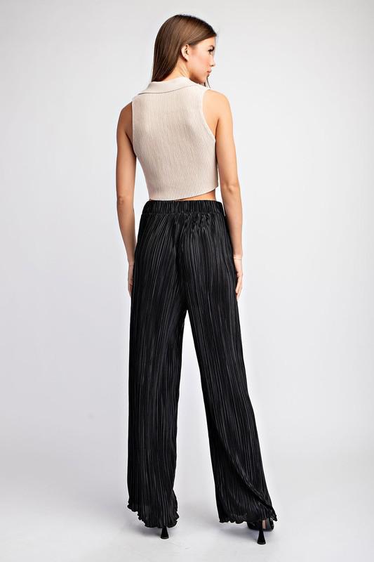 Pleated Stright Leg Pants