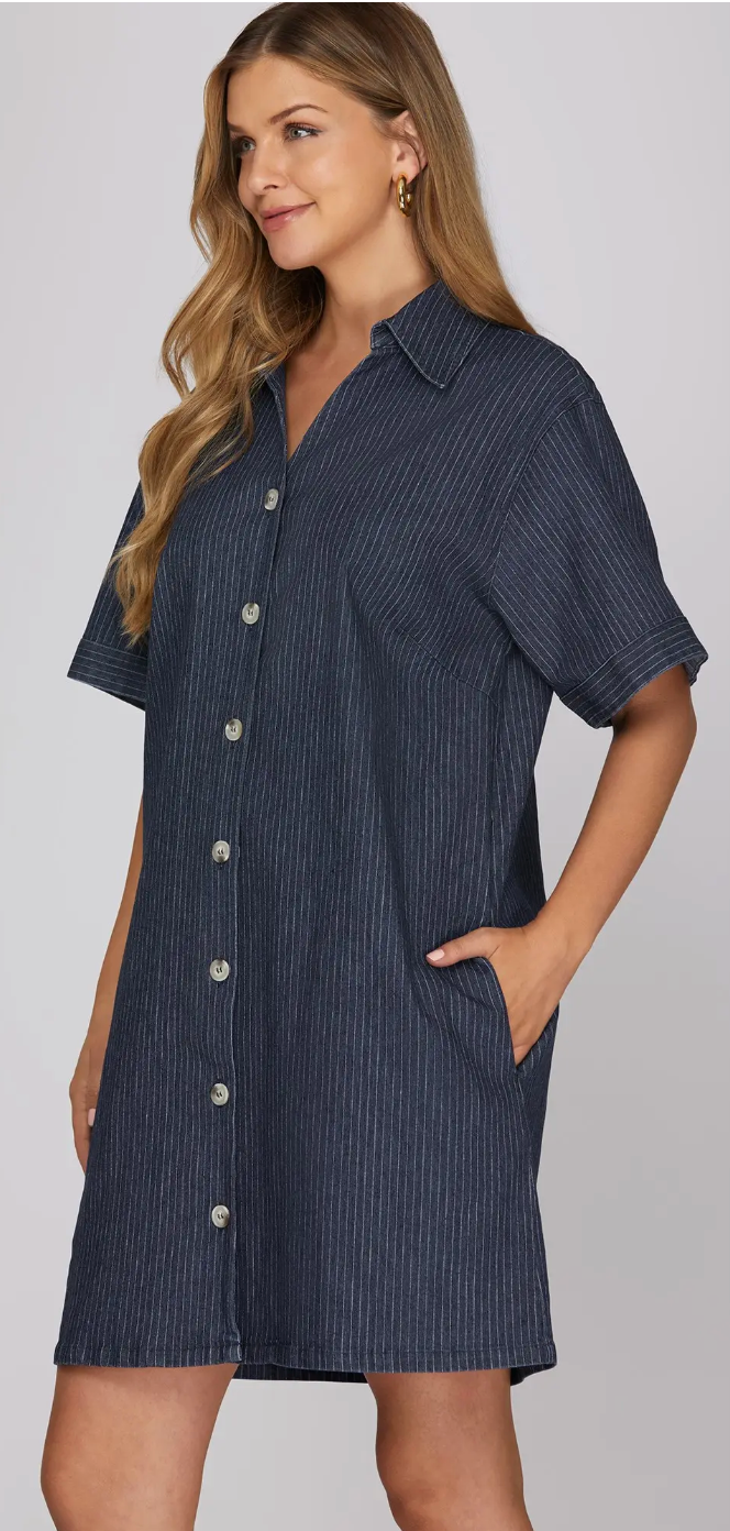 Denim Button Down Dress